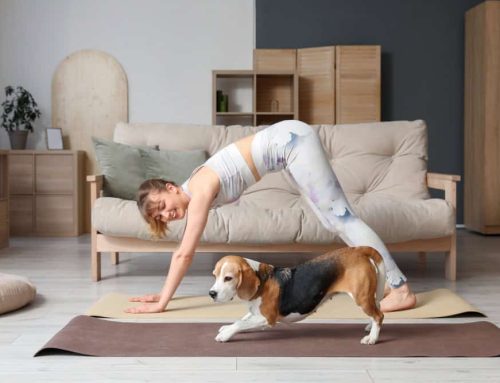 Healthy Hound: Tailoring Exercise to Your Dog’s Breed and Body Type